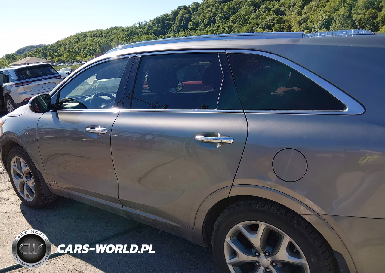 2016 Kia Sorento 2.0T Sxl VIN:5XYPKDA16GG046377 - 15