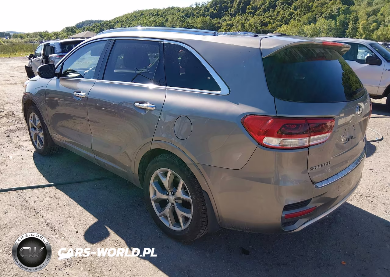 2016 Kia Sorento 2.0T Sxl VIN:5XYPKDA16GG046377 - 3