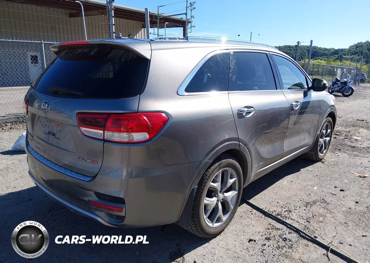 2016 Kia Sorento 2.0T Sxl VIN:5XYPKDA16GG046377 - 4