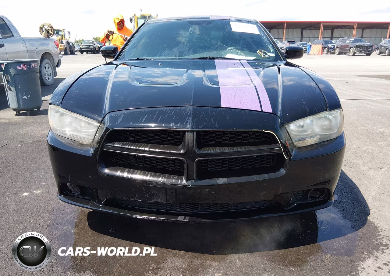 2014 Dodge Charger Se VIN:2C3CDXBGXEH324410 - 12