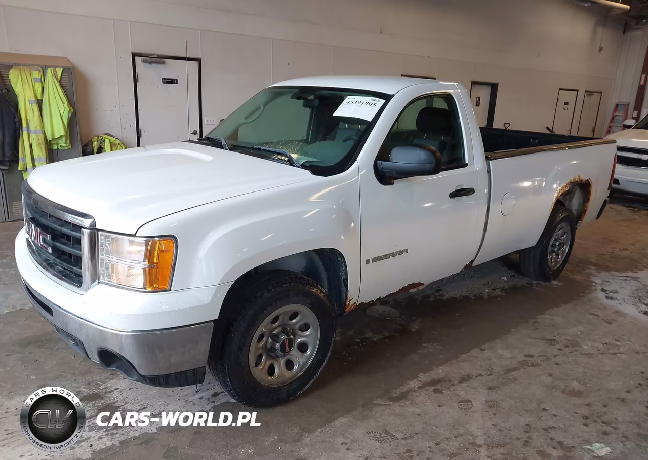 2009 GMC Sierra 1500 Work Truck VIN:1GTEC14C99Z900153 - 2