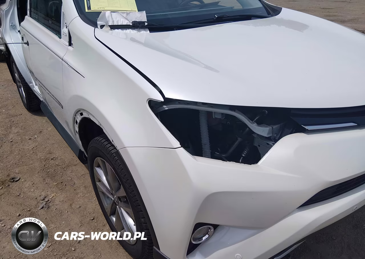 2017 Toyota Rav4 Limited VIN:2T3YFREV3HW316638 - 19