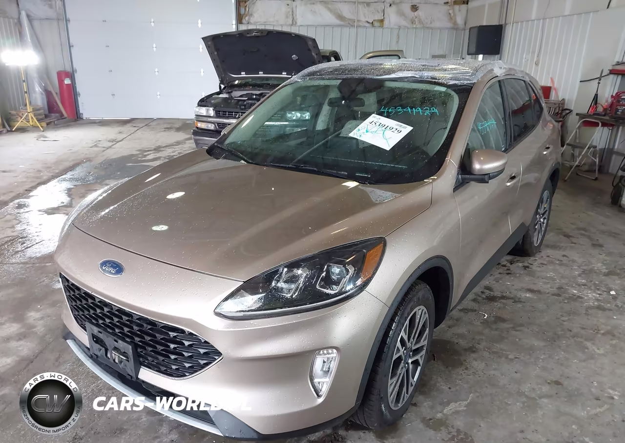 2020 Ford Escape Sel VIN:1FMCU9H60LUA49092 - 2