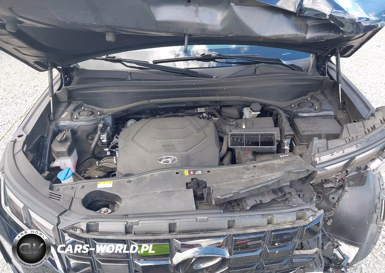 2023 Hyundai Palisade Sel VIN:KM8R4DGE9PU510933 - 10