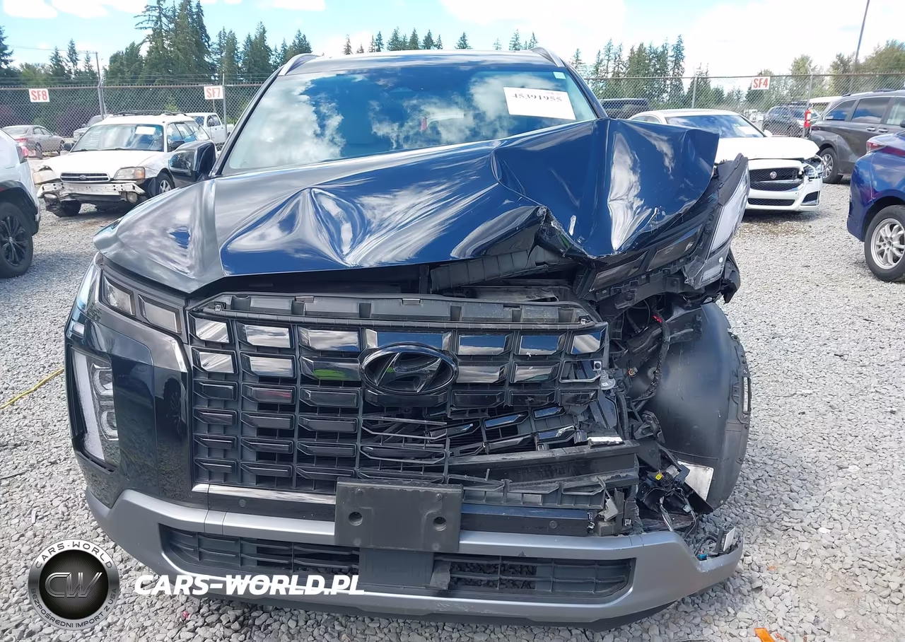 2023 Hyundai Palisade Sel VIN:KM8R4DGE9PU510933 - 12