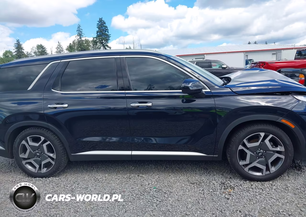 2023 Hyundai Palisade Sel VIN:KM8R4DGE9PU510933 - 13