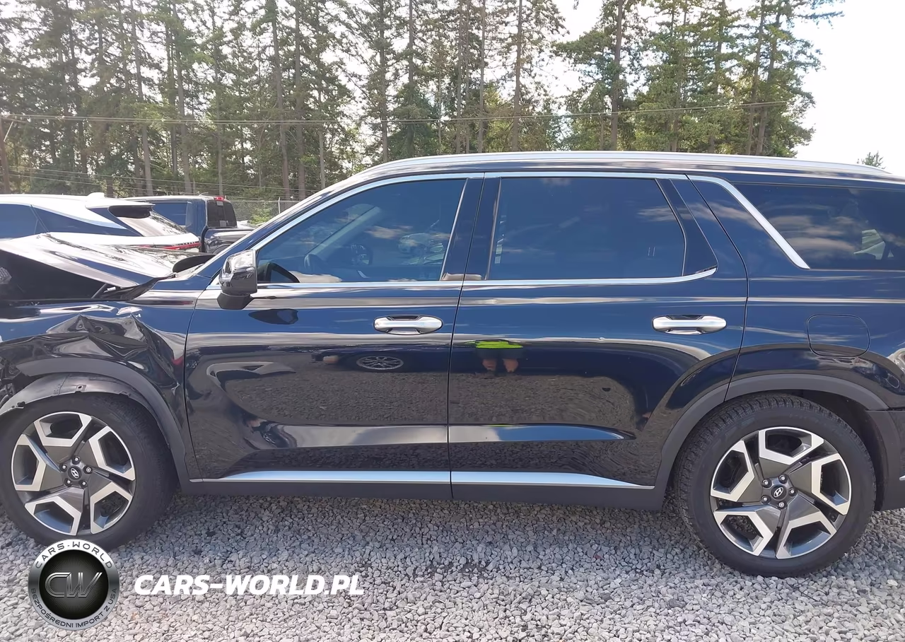 2023 Hyundai Palisade Sel VIN:KM8R4DGE9PU510933 - 14