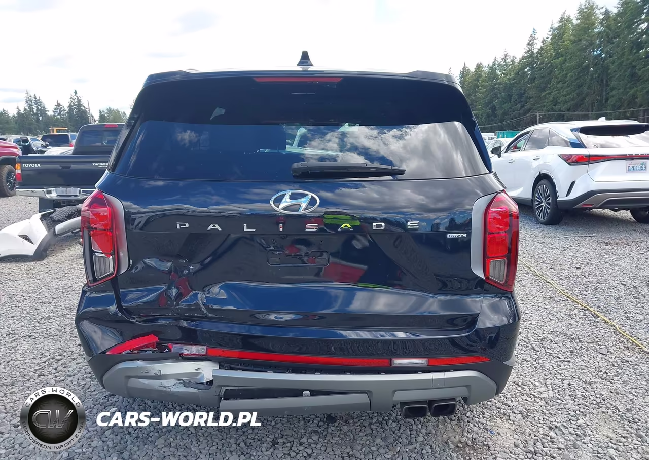 2023 Hyundai Palisade Sel VIN:KM8R4DGE9PU510933 - 16