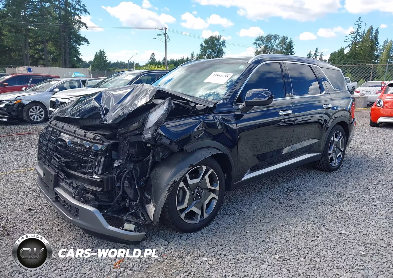 2023 Hyundai Palisade Sel VIN:KM8R4DGE9PU510933 - 2