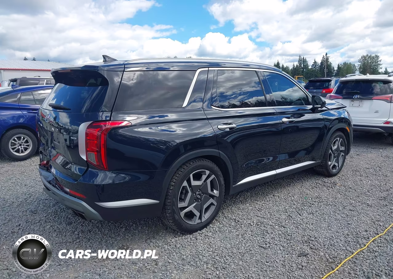 2023 Hyundai Palisade Sel VIN:KM8R4DGE9PU510933 - 4