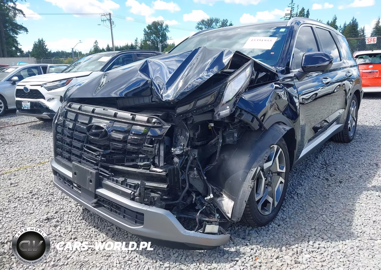 2023 Hyundai Palisade Sel VIN:KM8R4DGE9PU510933 - 6
