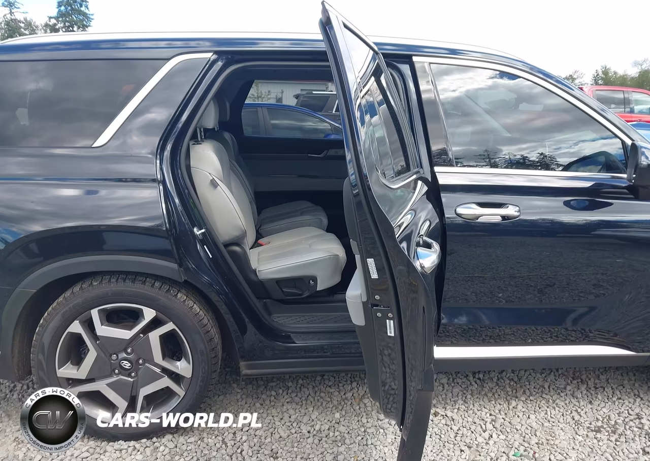 2023 Hyundai Palisade Sel VIN:KM8R4DGE9PU510933 - 8