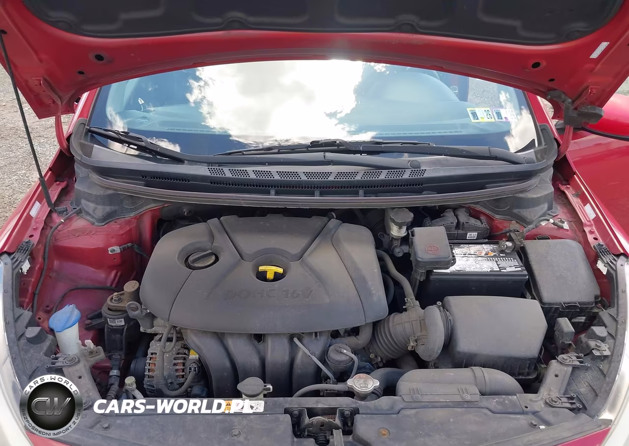 2014 Kia Forte Lx VIN:KNAFK4A68E5086485 - 10