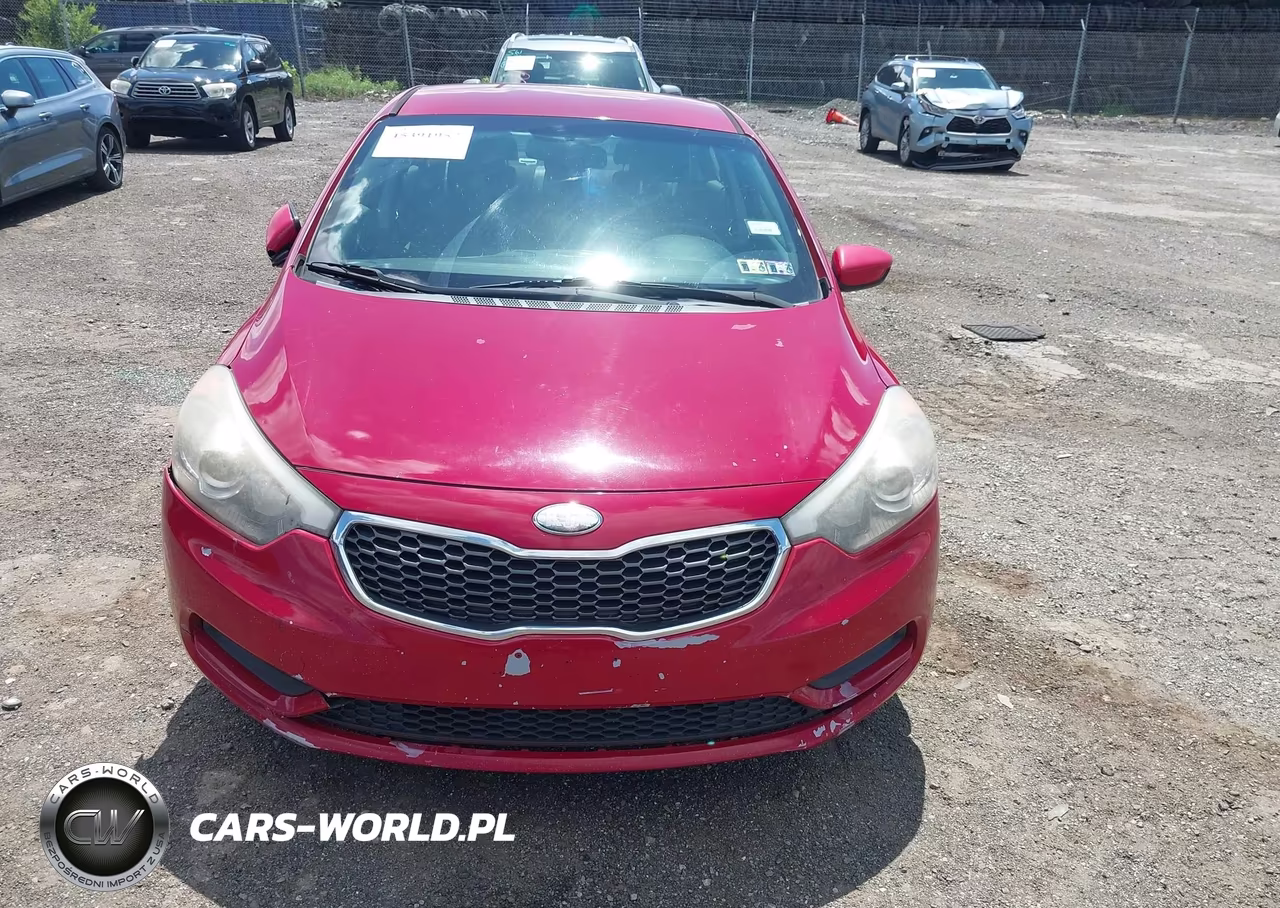 2014 Kia Forte Lx VIN:KNAFK4A68E5086485 - 12