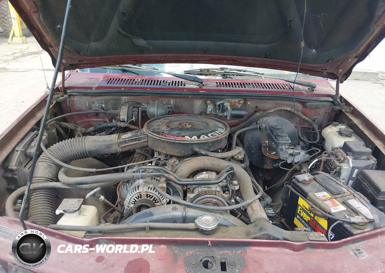 1993 Dodge Dakota VIN:1B7GG23Y0PS290570 - 10