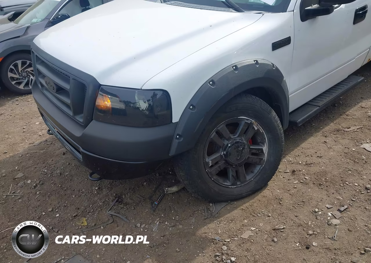 2006 Ford F-150 Stx-Xl-Xlt VIN:1FTRF14W66NA68776 - 6