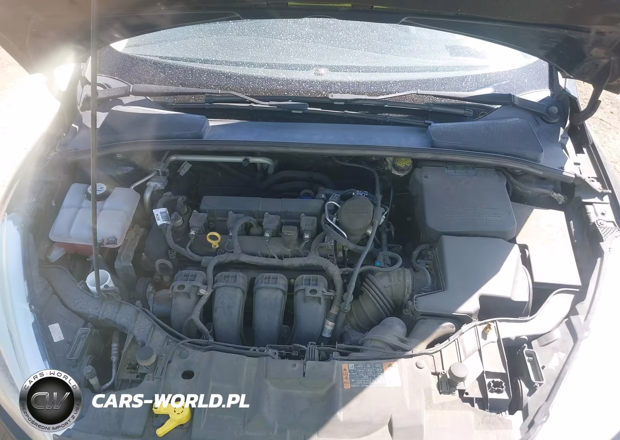 2016 Ford Focus Se VIN:1FADP3F23GL256185 - 10