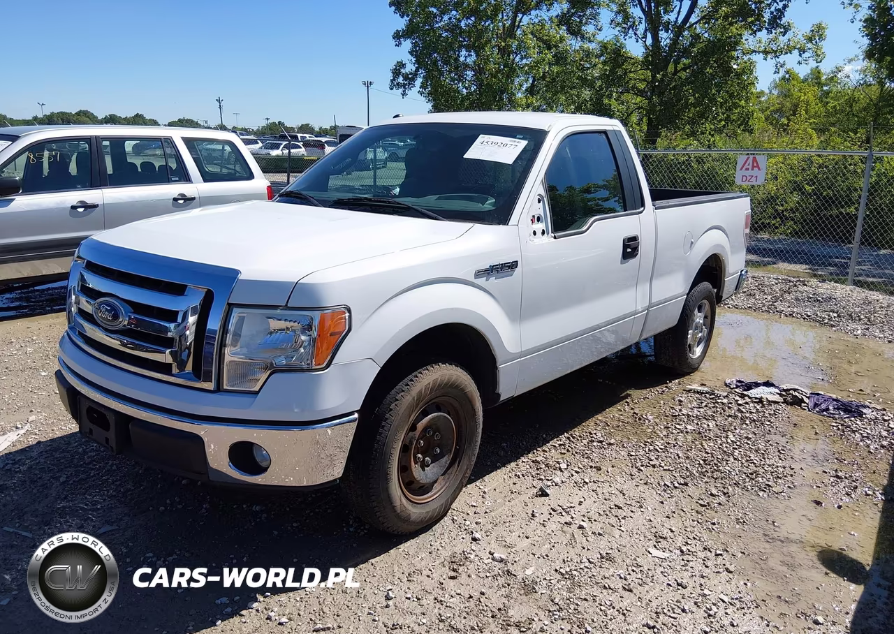 2011 Ford F-150 Xlt VIN:1FTMF1CM8BKD05516 - 2