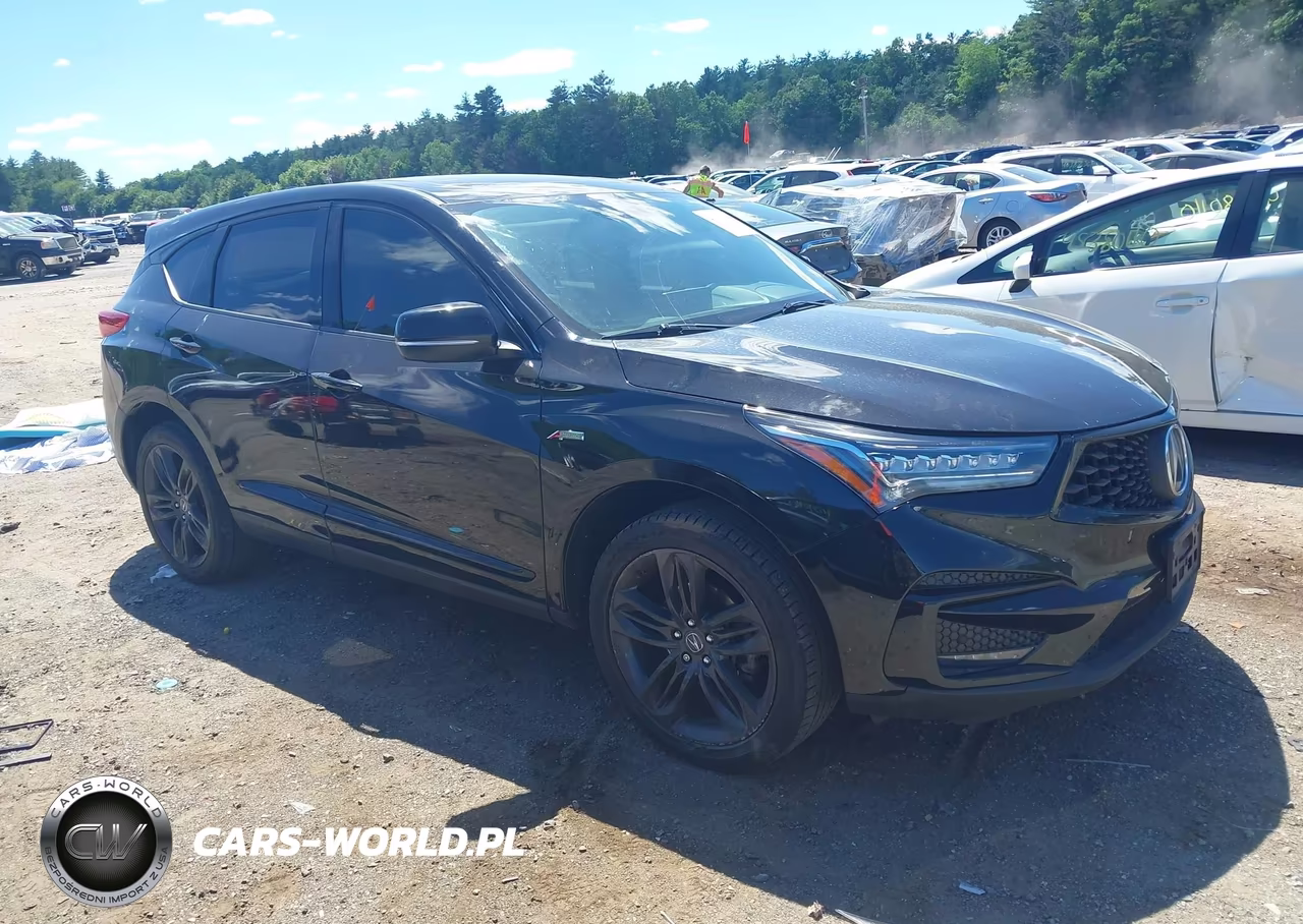 2019 Acura Rdx A-Spec Package