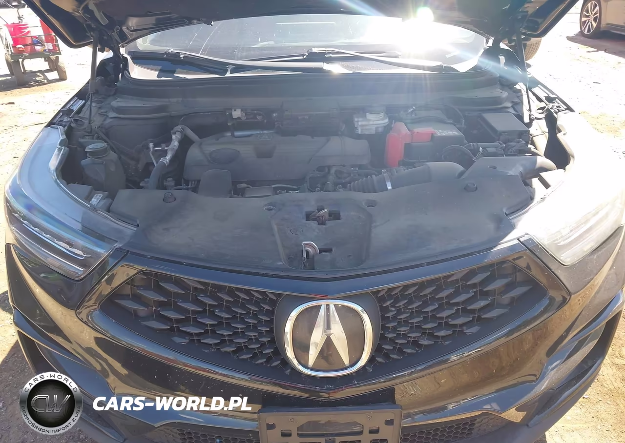 2019 Acura Rdx A-Spec Package VIN:5J8TC2H64KL010574 - 10
