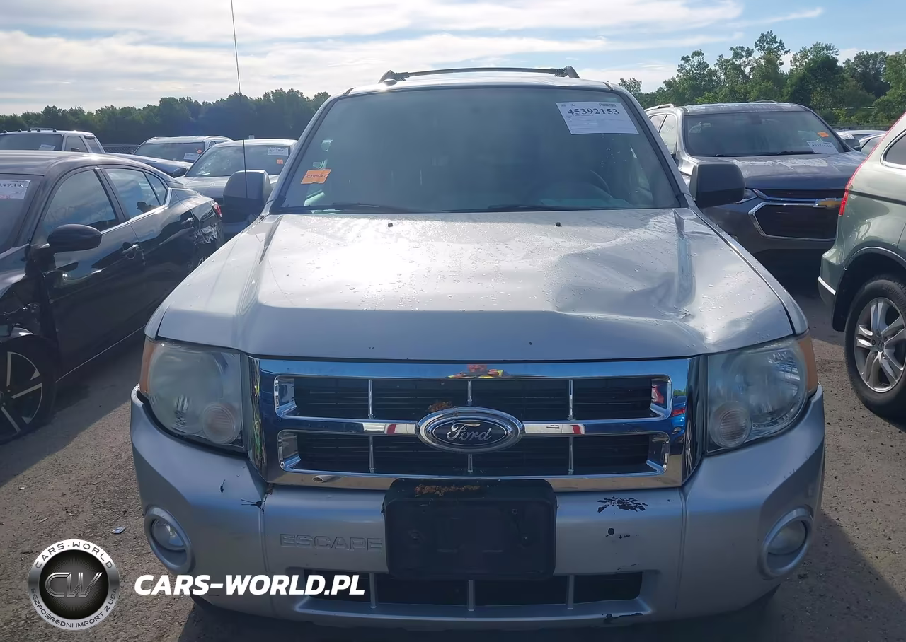 2009 Ford Escape Xlt VIN:1FMCU03G19KA65849 - 12