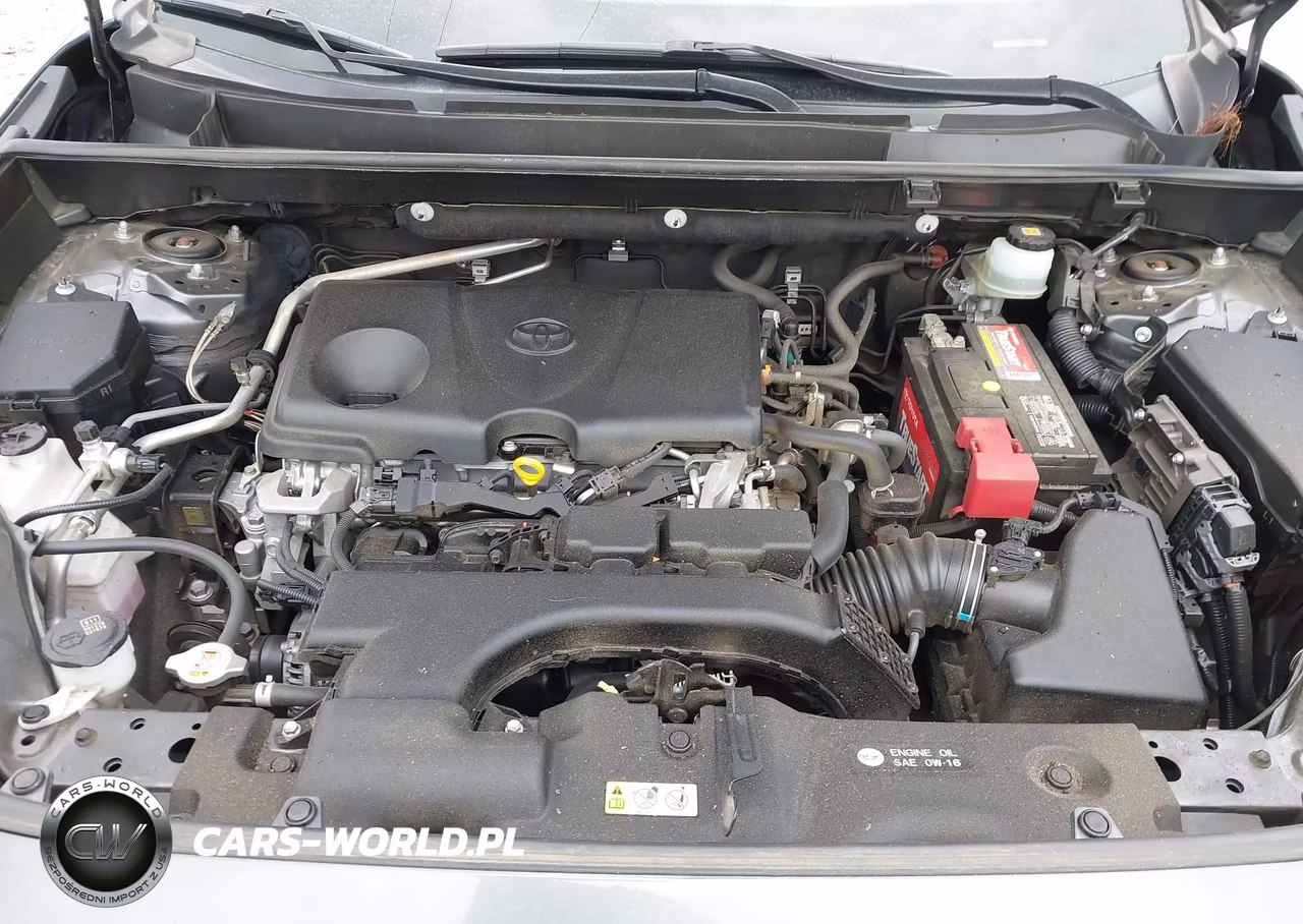 2019 Toyota Rav4 Xle VIN:JTMW1RFV4KD510717 - 10