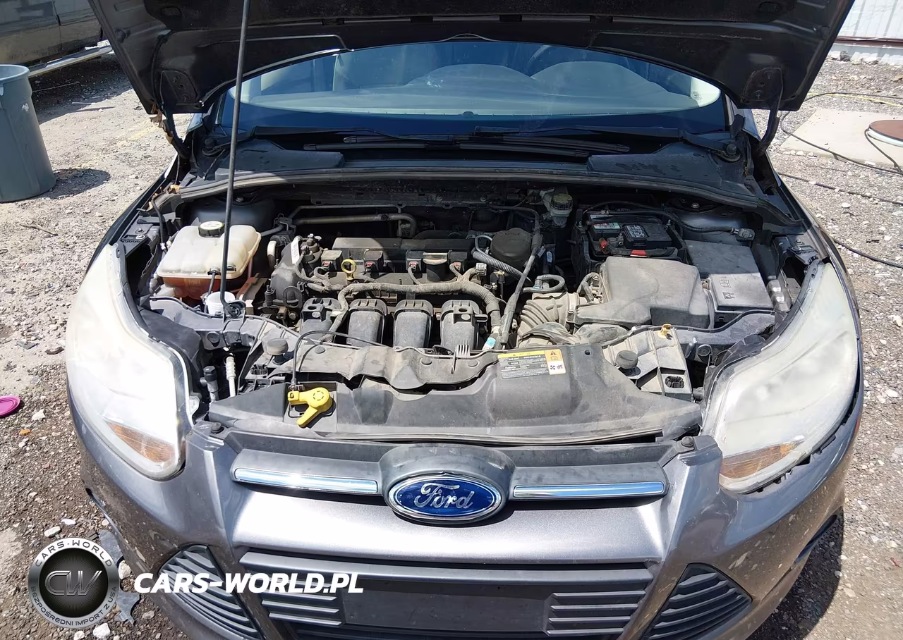 2013 Ford Focus Se VIN:1FADP3K24DL244127 - 10
