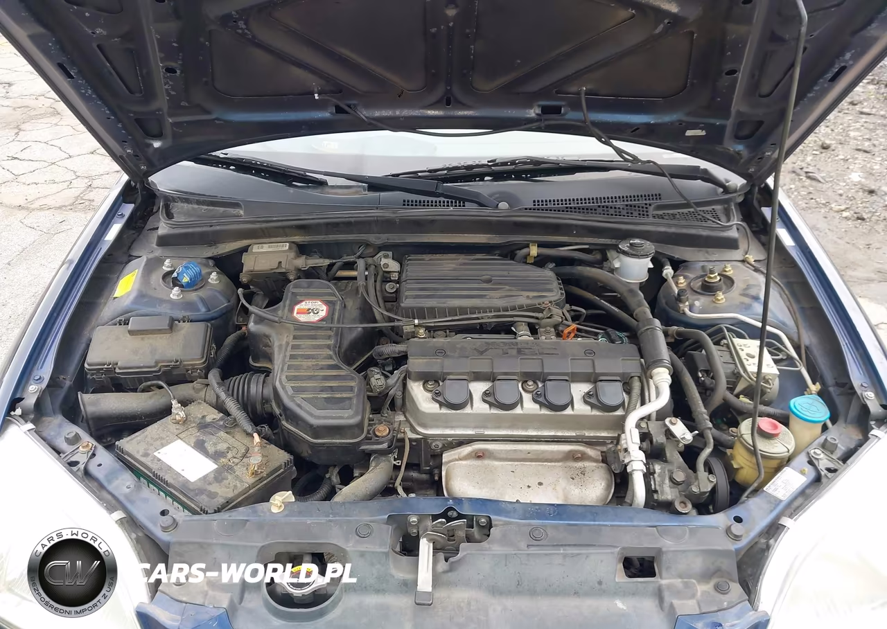 2002 Honda Civic Ex VIN:1HGEM22962L079100 - 10