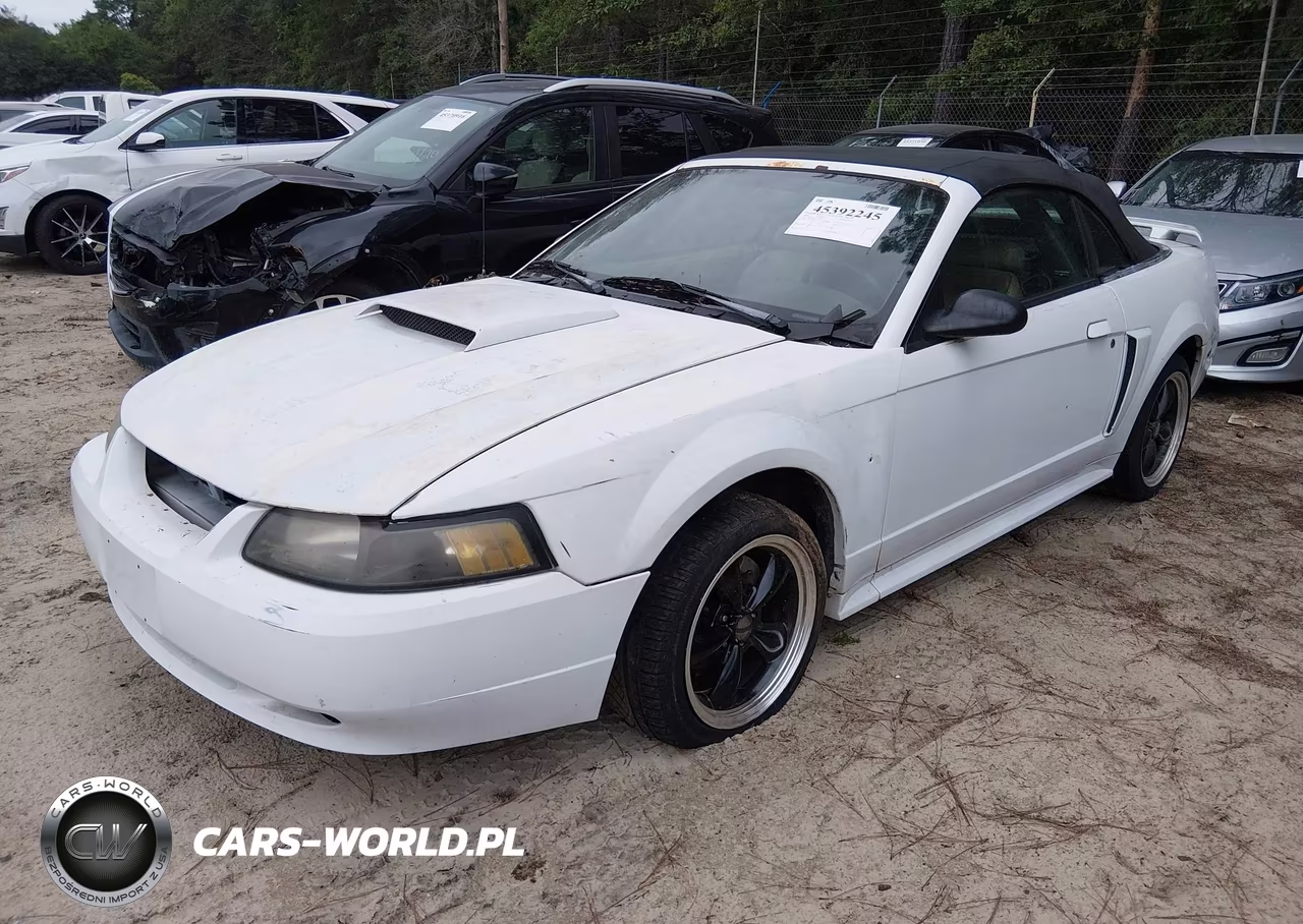 2001 Ford Mustang Gt VIN:1FAFP45X71F138447 - 2