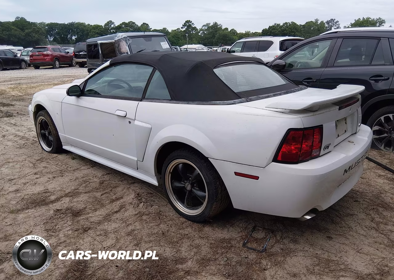 2001 Ford Mustang Gt VIN:1FAFP45X71F138447 - 3