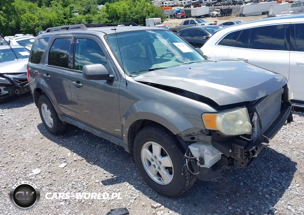 2011 Ford Escape Xlt