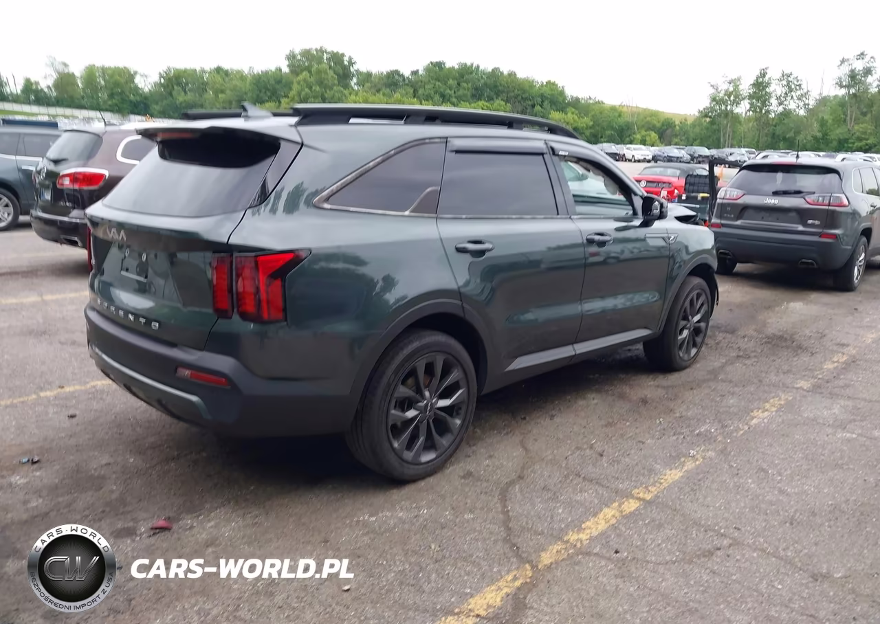2022 Kia Sorento X-Line Ex VIN:5XYRHDLF2NG104403 - 4