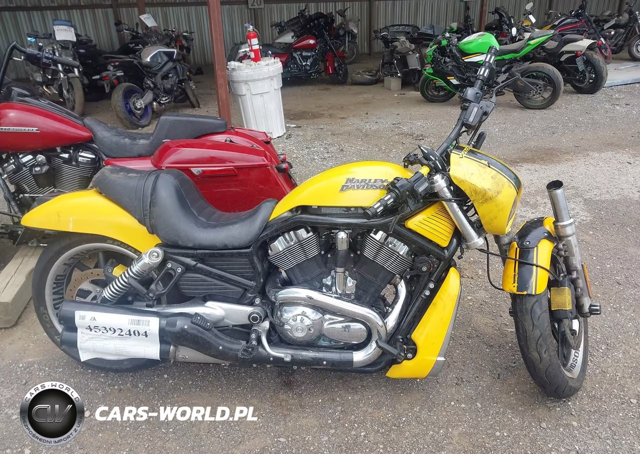 2007 Harley-Davidson Vrscd VIN:1HD1HDZ187K808187 - 12