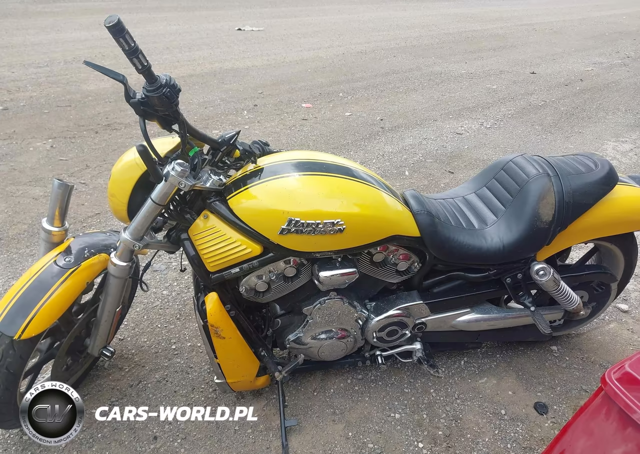 2007 Harley-Davidson Vrscd VIN:1HD1HDZ187K808187 - 13