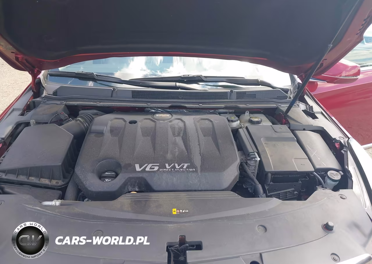 2019 Cadillac Xts Premium Luxury VIN:2G61R5S35K9156352 - 10