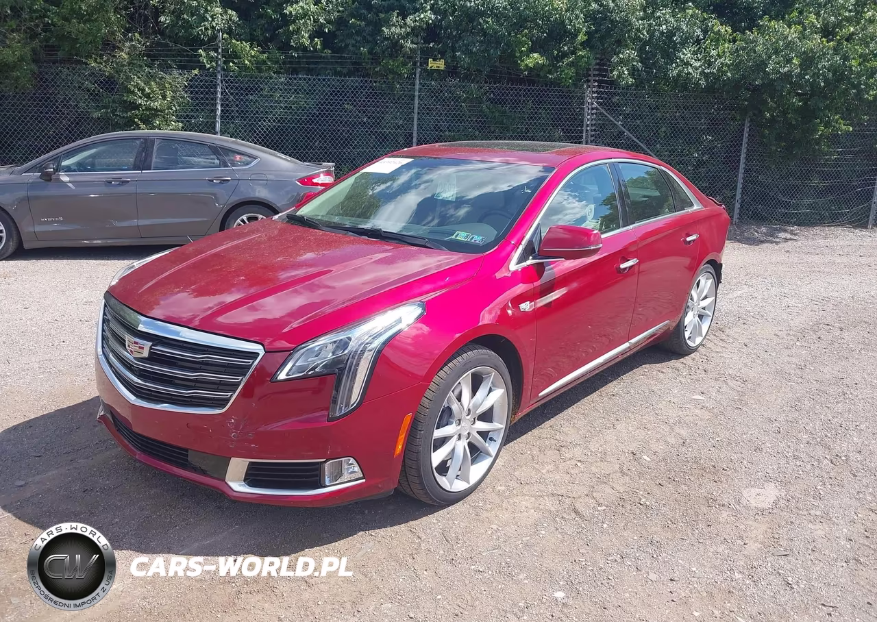 2019 Cadillac Xts Premium Luxury VIN:2G61R5S35K9156352 - 2