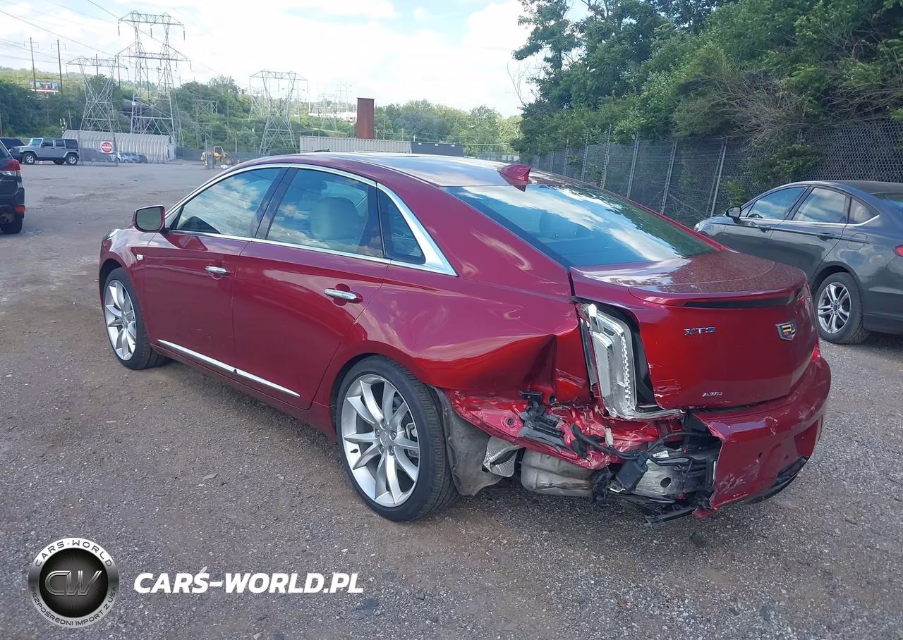 2019 Cadillac Xts Premium Luxury VIN:2G61R5S35K9156352 - 3