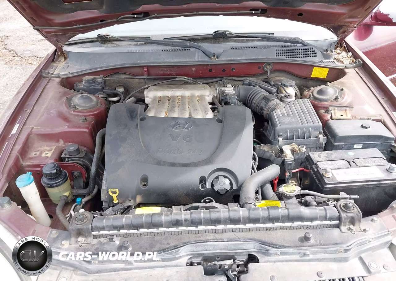 2001 Hyundai Sonata Gls-Gls W-Leather VIN:KMHWF35V91A442944 - 10