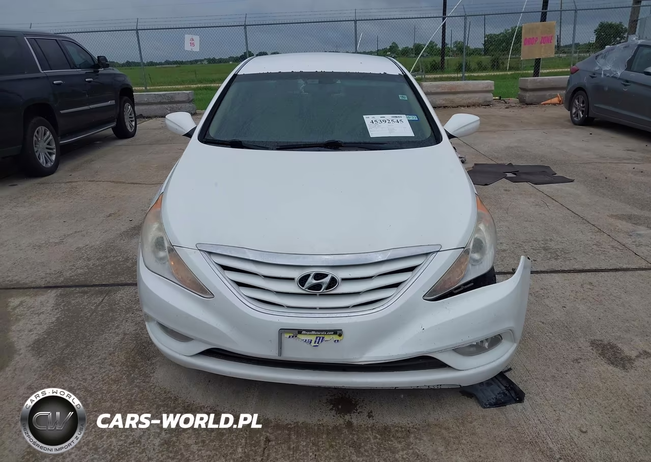 2013 Hyundai Sonata Gls VIN:5NPEB4AC3DH646173 - 12