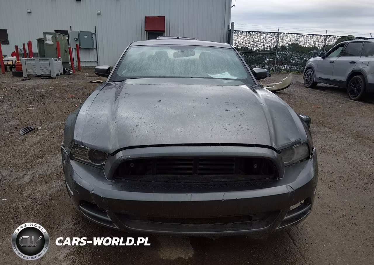 2014 Ford Mustang V6-V6 Premium VIN:1ZVBP8AM3E5208773 - 13
