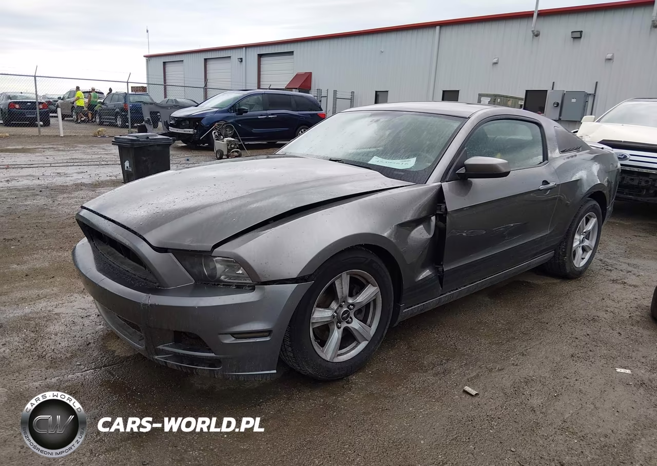 2014 Ford Mustang V6-V6 Premium VIN:1ZVBP8AM3E5208773 - 2