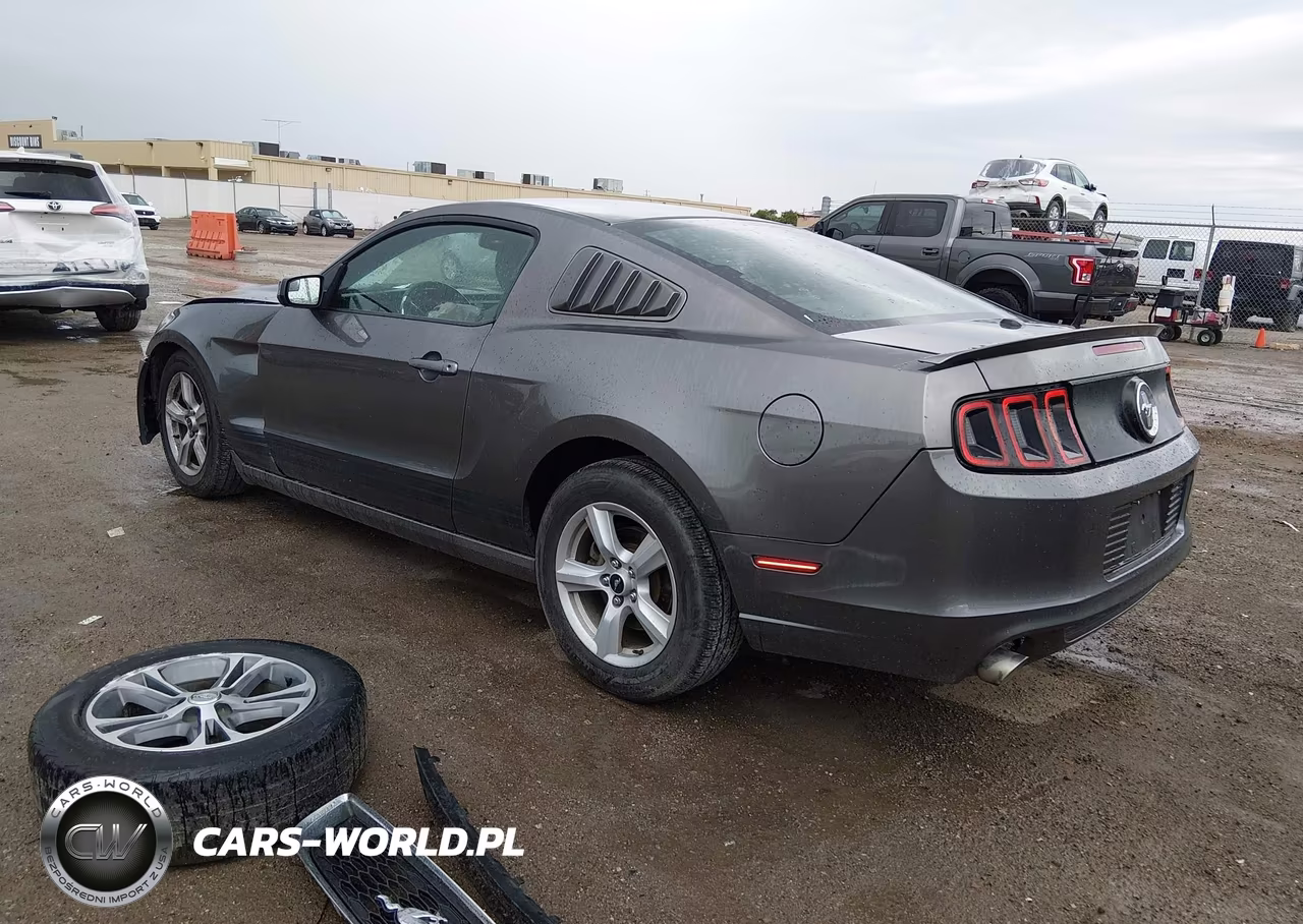 2014 Ford Mustang V6-V6 Premium VIN:1ZVBP8AM3E5208773 - 3