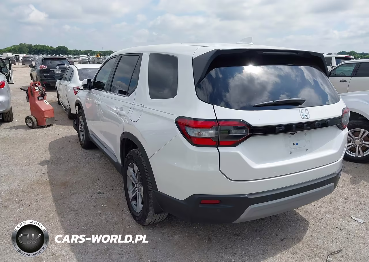 2024 Honda Pilot Ex-L VIN:5FNYG2H40RB005084 - 3
