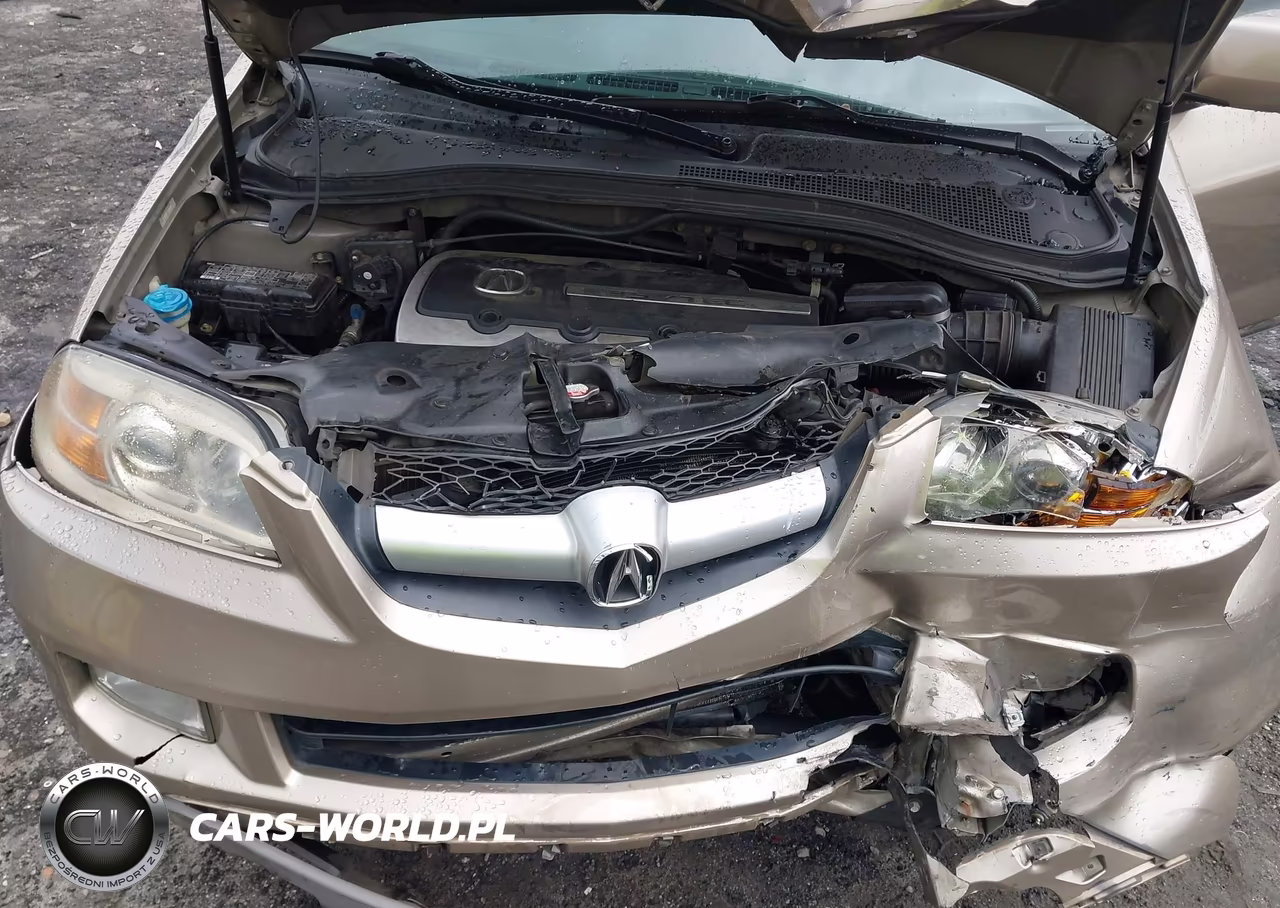2006 Acura Mdx VIN:2HNYD18626H510161 - 10