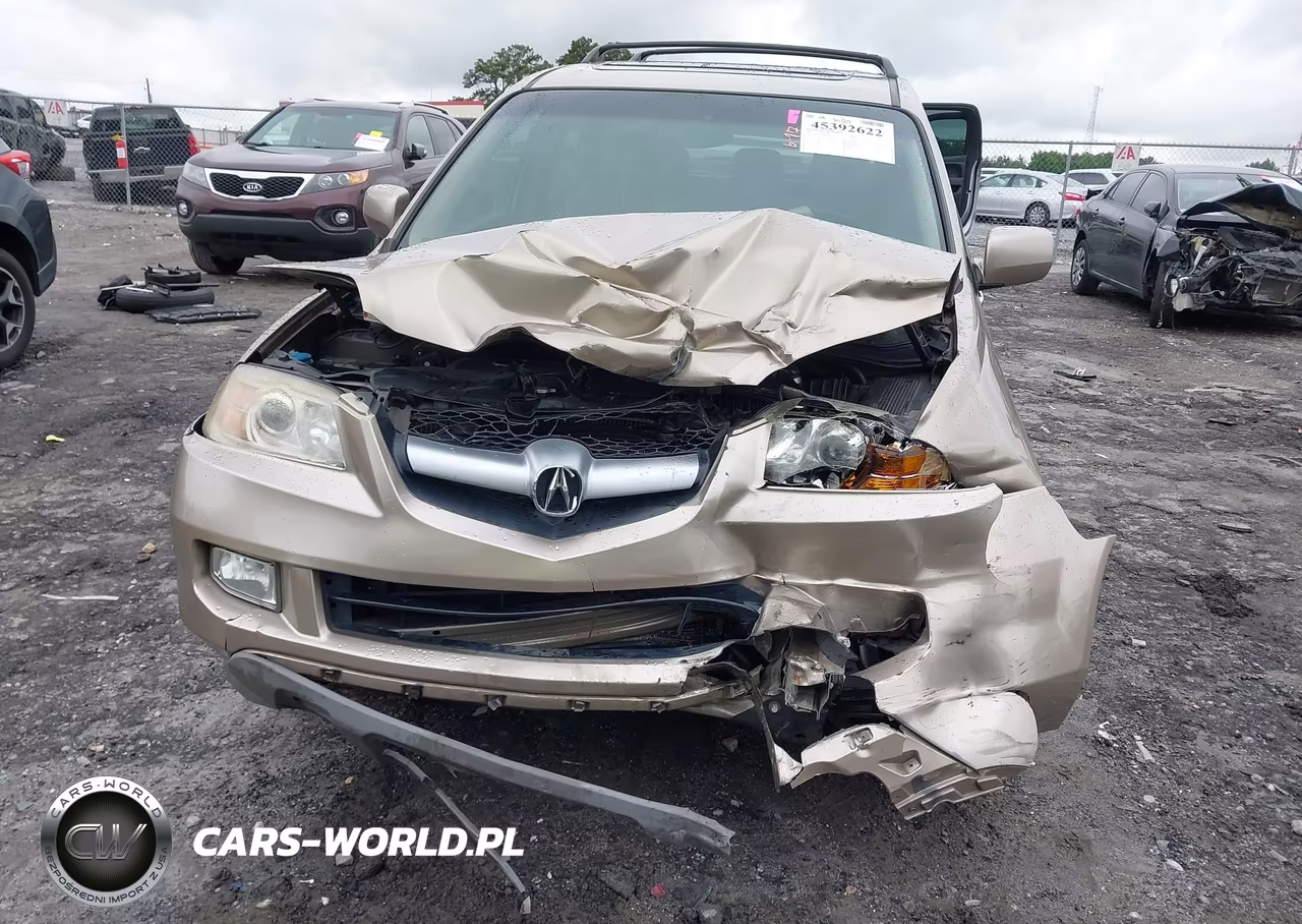 2006 Acura Mdx VIN:2HNYD18626H510161 - 6