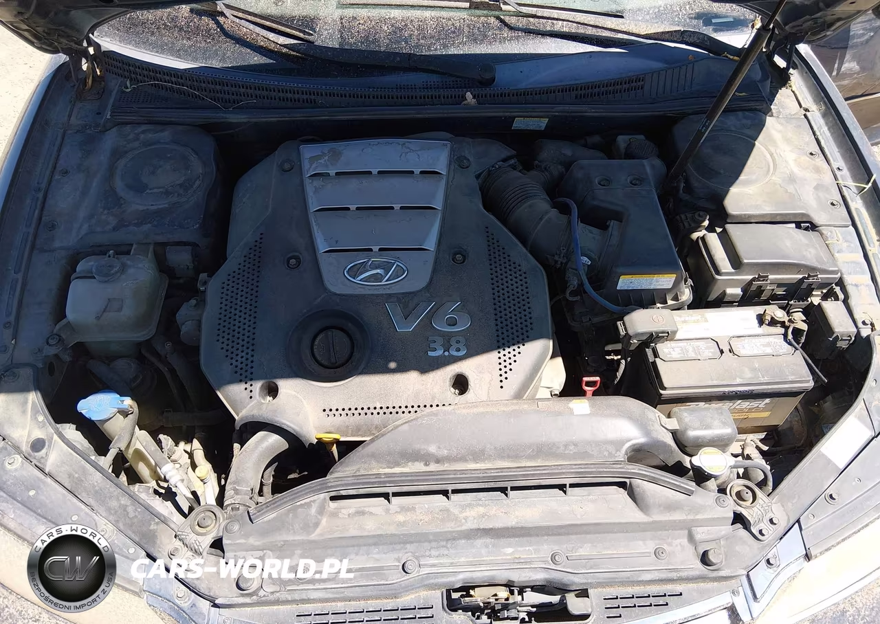 2006 Hyundai Azera Limited-Se VIN:KMHFC46F96A061754 - 10