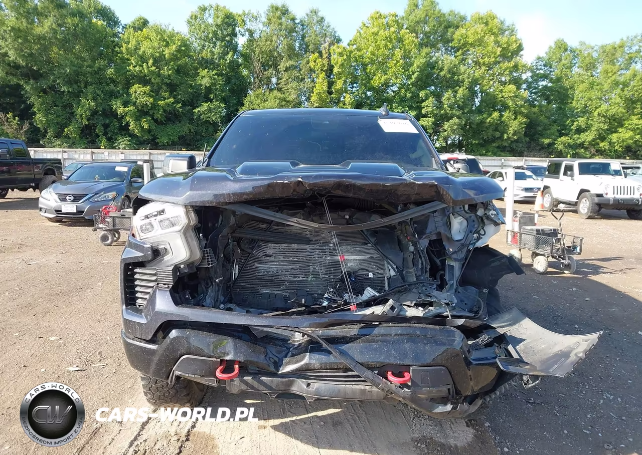 2022 Chevrolet Silverado 1500 4Wd Short Bed Lt Trail Boss VIN:3GCUDFED5NG677925 - 12