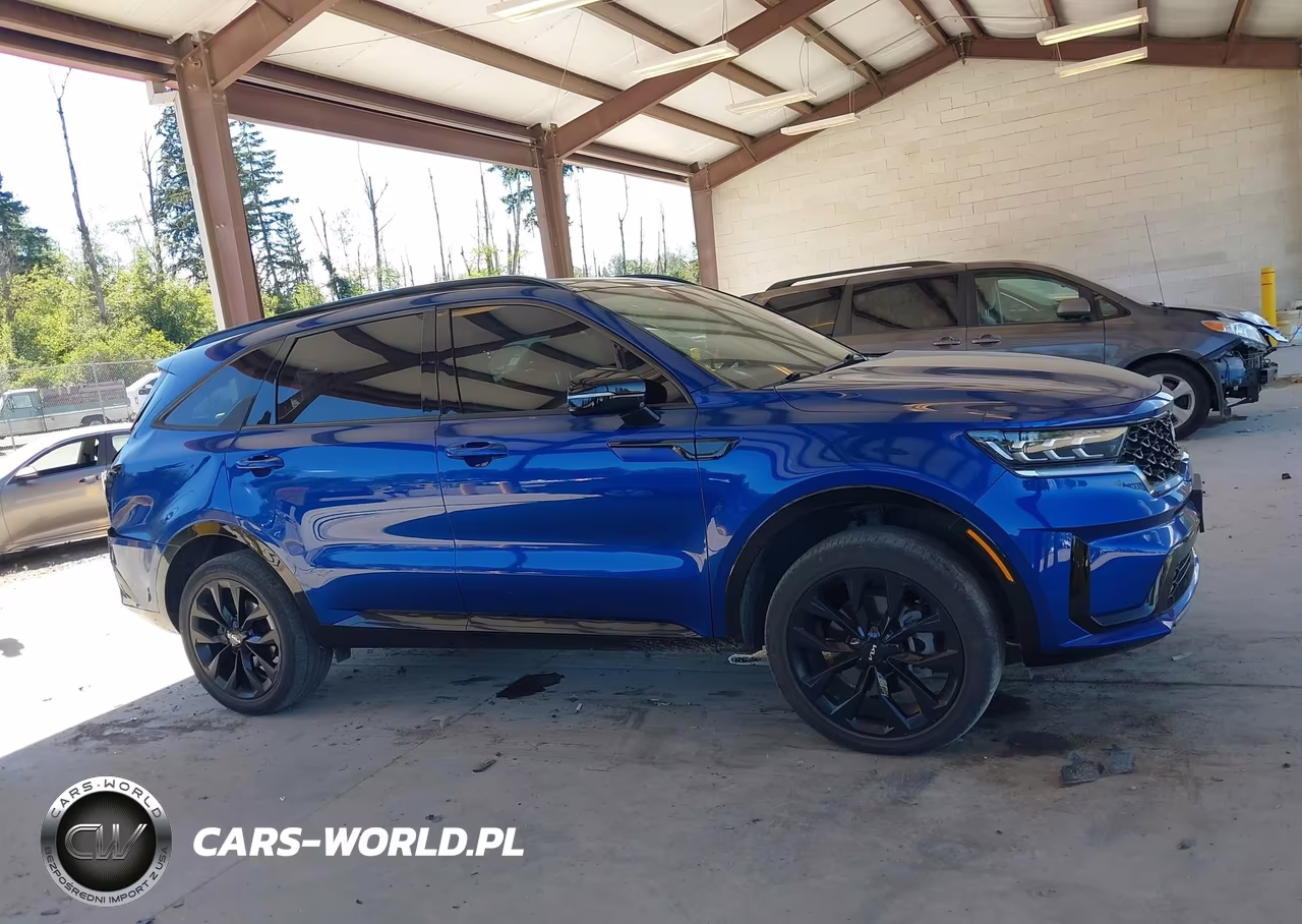 2022 Kia Sorento Sx VIN:5XYRKDLF4NG130714 - 13