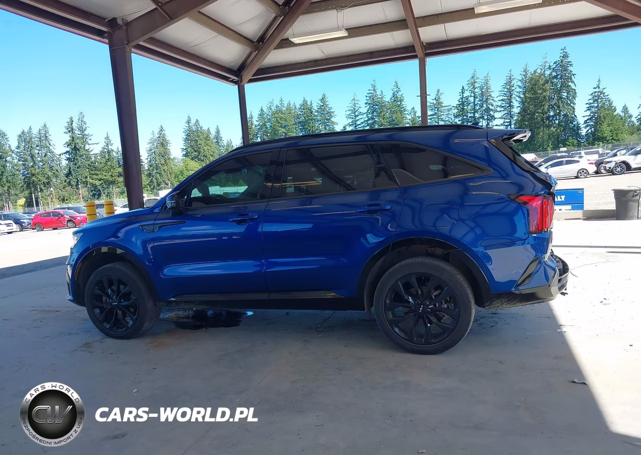 2022 Kia Sorento Sx VIN:5XYRKDLF4NG130714 - 14