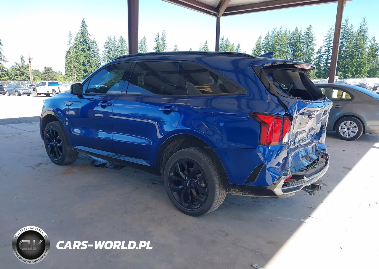 2022 Kia Sorento Sx VIN:5XYRKDLF4NG130714 - 3